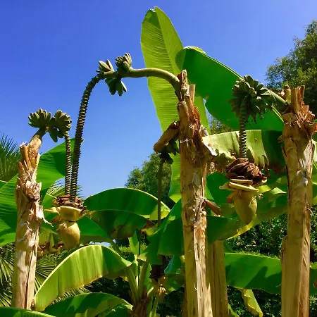 Hotell Eden Park Marina di Campo