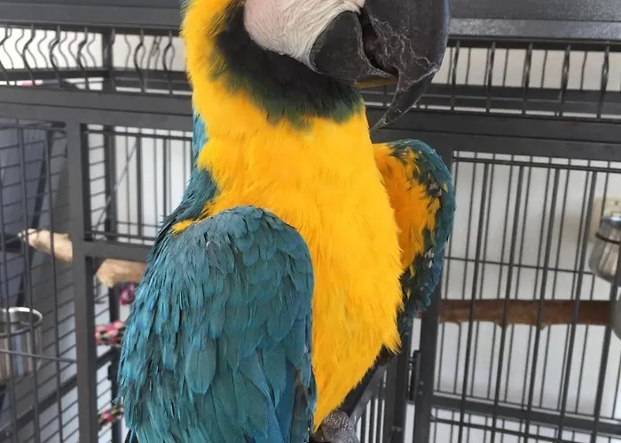 Eden Park Отель Марина-ди-Кампо