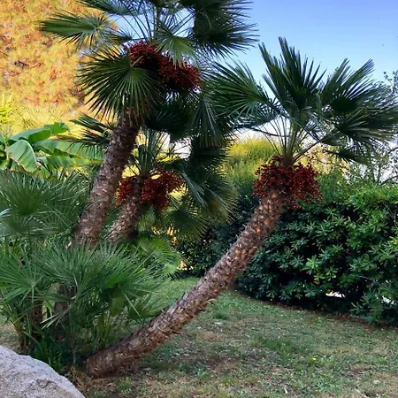 Eden Park מלון מרינה די קמפו