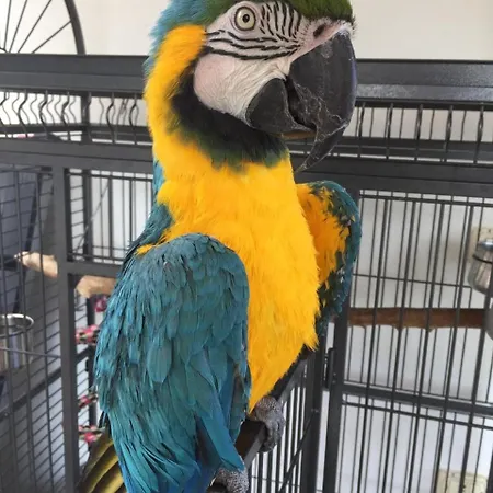 Eden Park 酒店 坎普码港