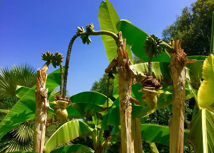 Otel Eden Park Marina di Campo