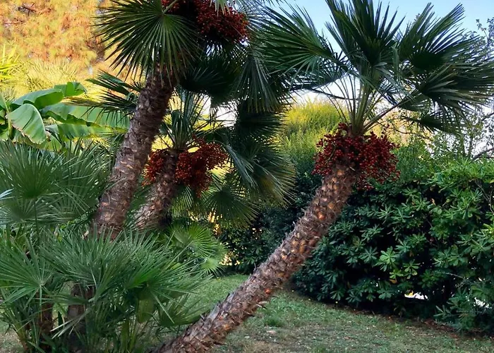 Eden Park Hotel Marina di Campo