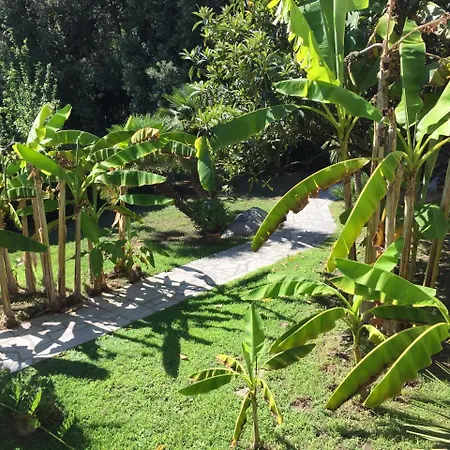 Eden Park Hotel 3*